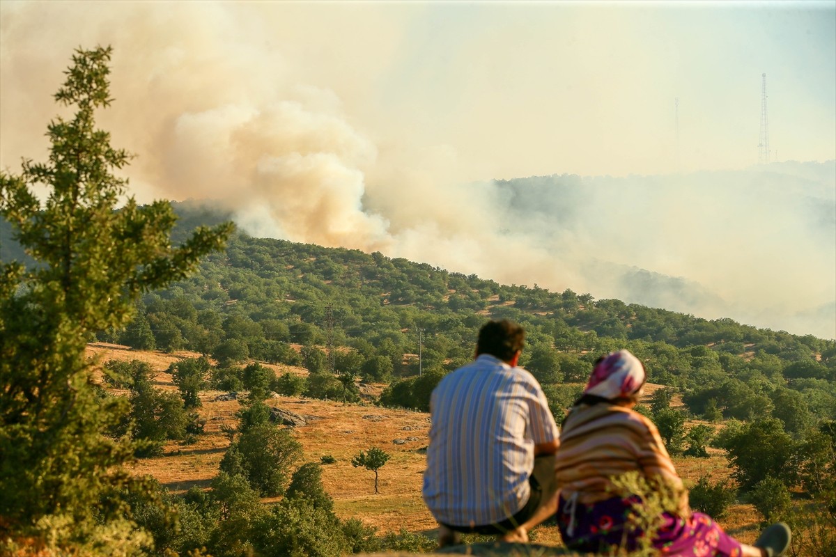 Uşak'ın Eşme ilçesinde tarım arazisinde başlayıp meşelik alana sıçrayan yangına havadan ve karadan...
