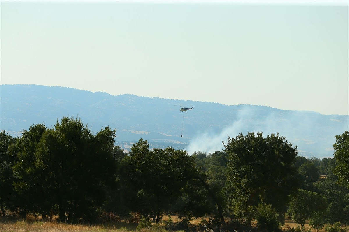 Uşak'ta tarım arazisinde başlayıp ormanlık alana sıçrayan yangına havadan ve karadan müdahale...