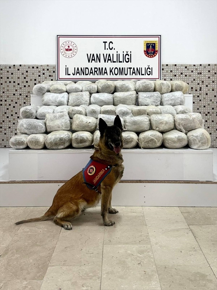 Van'ın Başkale ilçesinde, İran'dan katırla getirilen 97 kilogram sentetik uyuşturucu ele...