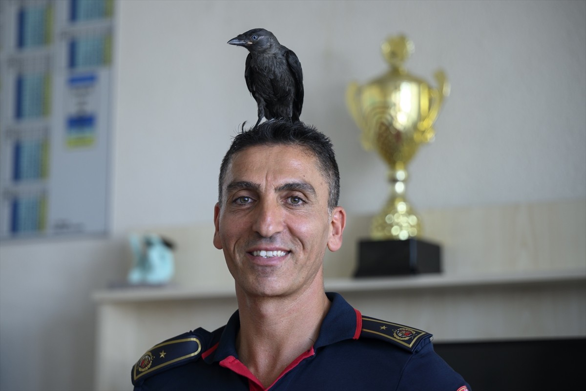 Yavruyken Arnavutköy'de bir evin bacasına sıkışan ve vatandaşların ihbarı üzerine itfaiye...