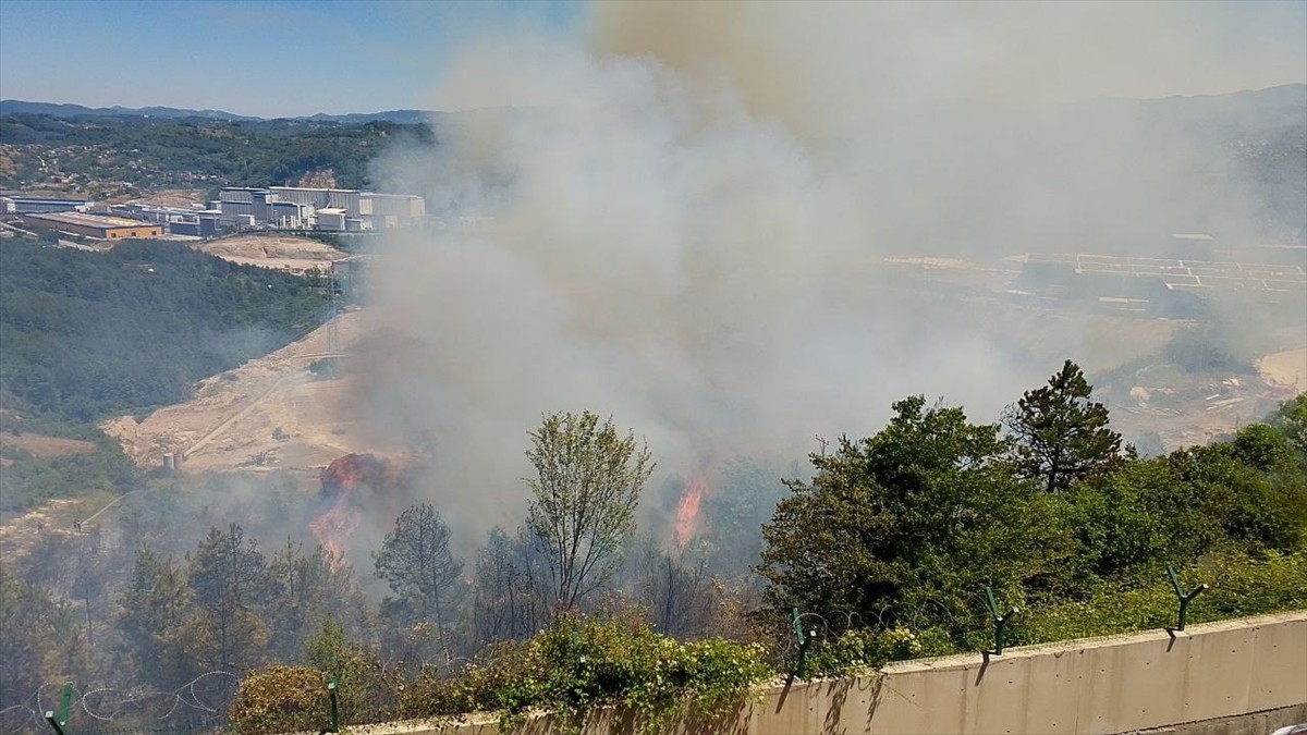 Zonguldak'ın Karadeniz Ereğli ilçesinde çalılık yangını, orman ve yerleşim alanına sıçramadan...