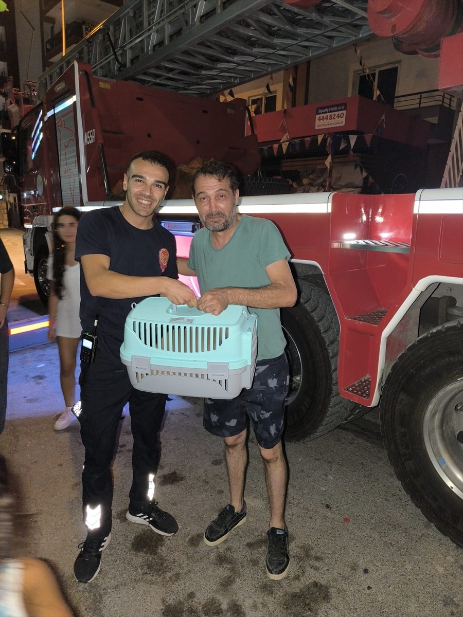 Adana'nın merkez Sarıçam ilçesinde balkon demirlerine sıkışan kedi, itfaiye ekiplerince...