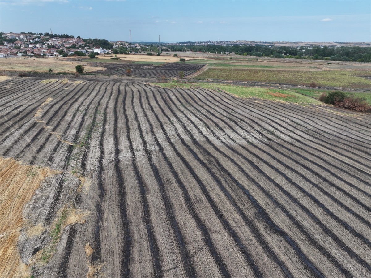Anız yakmak canlı yaşamını yok ederek toprağı çöle dönüştürüyor. Anız yakma yöntemi, toprağın üst...