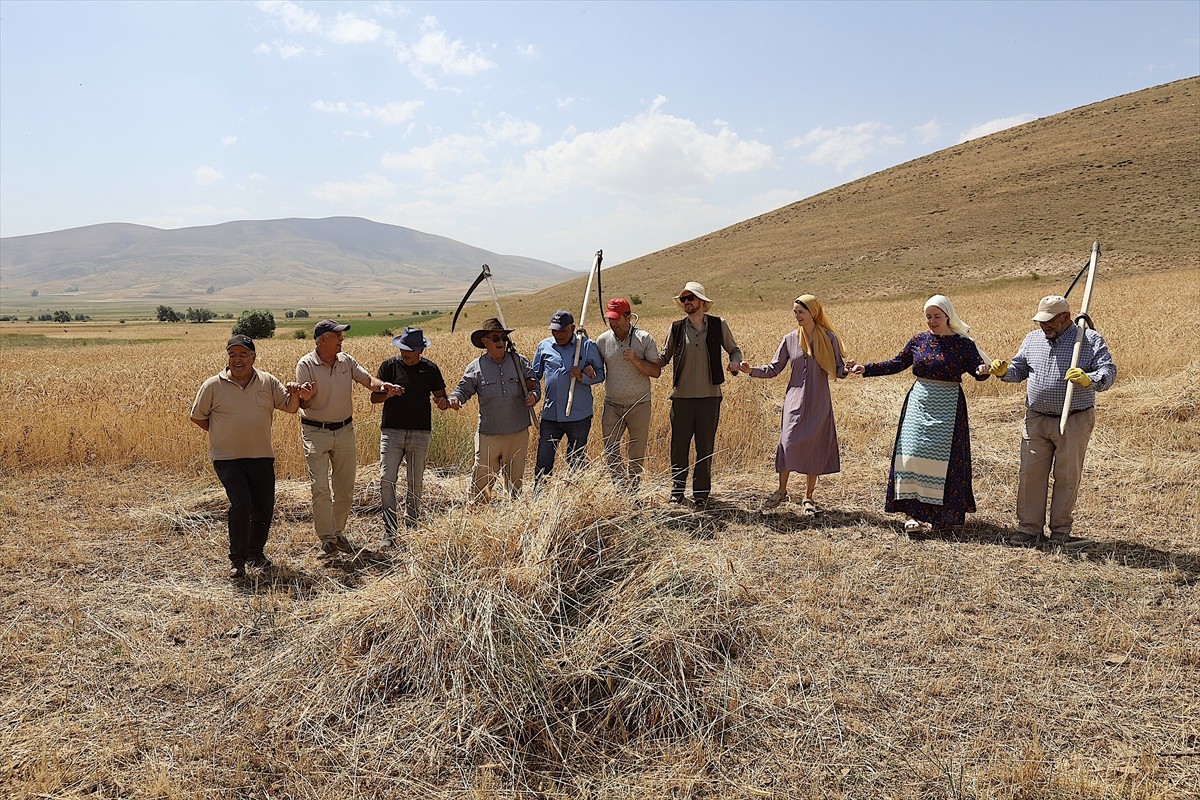 Bayburt'un Beşpınar köyündeki Kenan Yavuz Etnografya Müzesince düzenlenecek "Harman Festivali"...