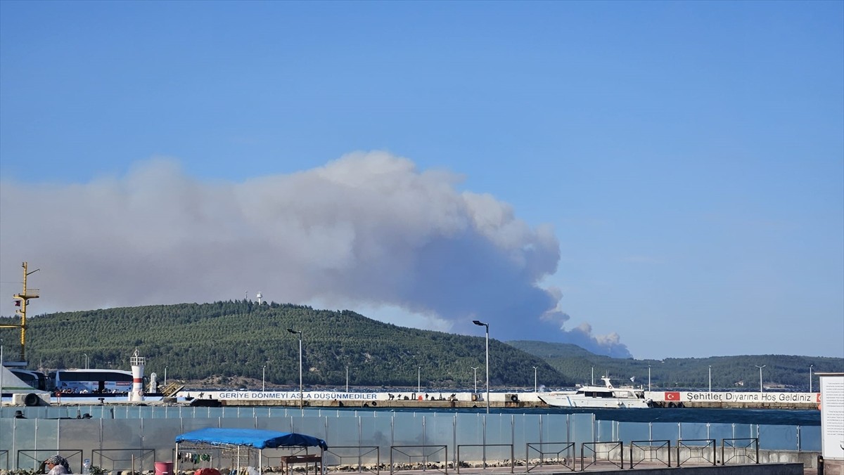 Çanakkale'nin Gelibolu ilçesinde ormanlık alanda çıkan yangına havadan ve karadan müdahale...