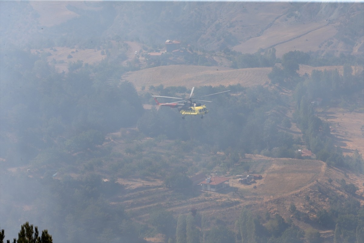 Çorum'un Çalyayla köyündeki ormanlık alanda çıkan yangın kontrol altına alındı. Yangına...