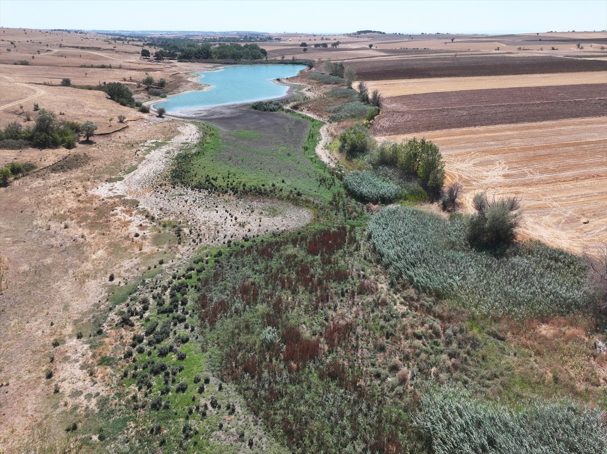 Edirne'de merkeze bağlı Korucu köyünde bulunan göletin su seviyesi, kuraklık ve aşırı sıcaklara...