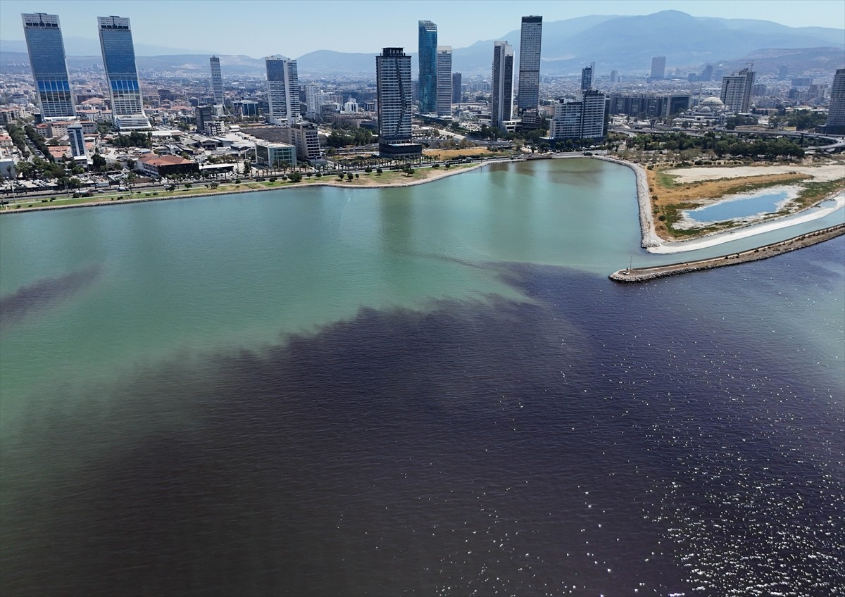 Geçen yıl kötü koku ve balık ölümleriyle gündeme gelen İzmir Körfezi'ndeki Turan Sahili'ne çok...
