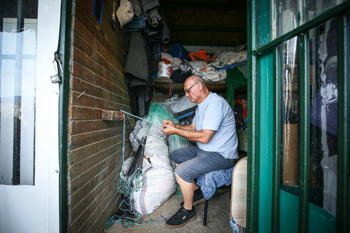 Güney Marmara ve Kuzey Ege'deki balıkçılar, denizlerde 1 Eylül'de sona erecek av yasağı öncesi...
