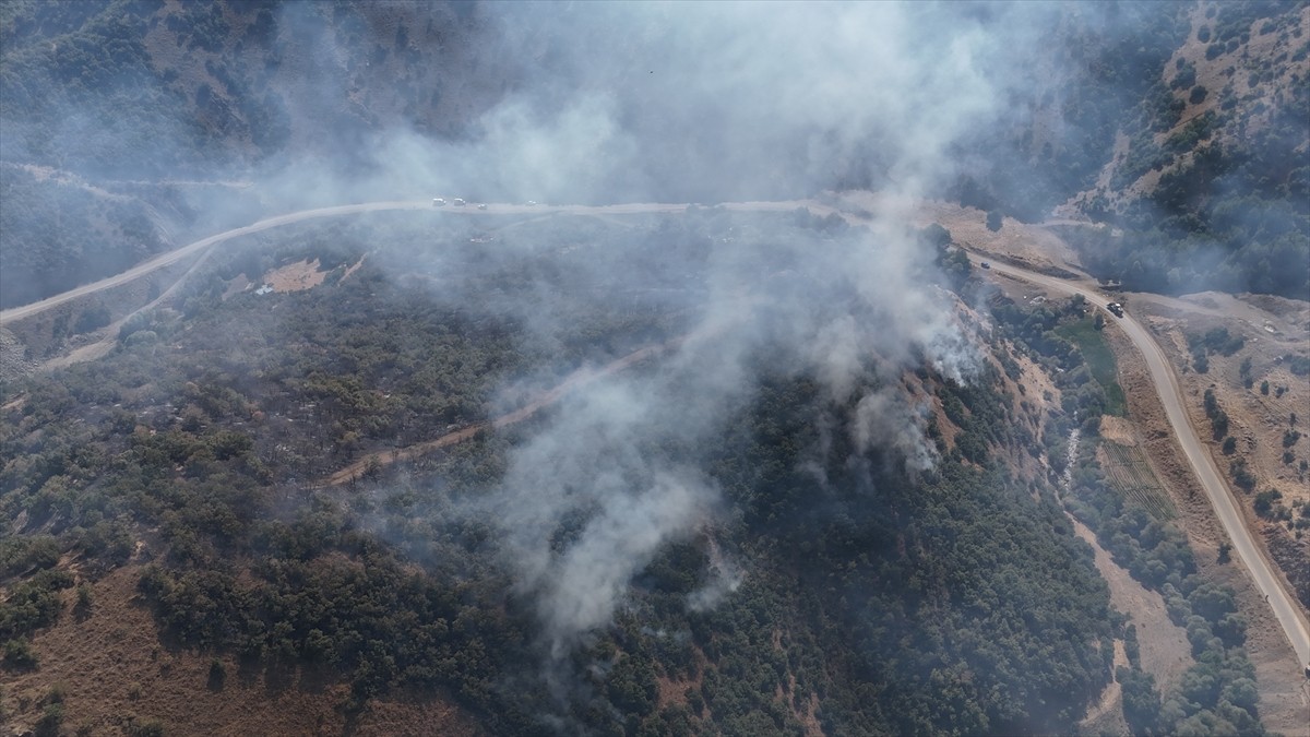 Hakkari'nin Şemdinli ilçesinde ağaçlık alanda çıkan yangın söndürüldü.