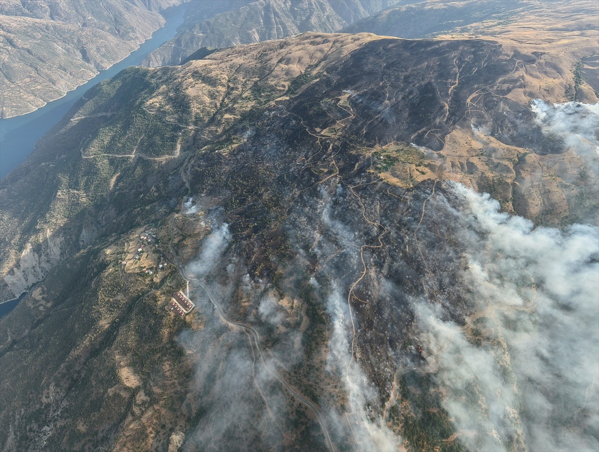 Malatya'nın Doğanyol ilçesinde çıkan orman yangınına havadan ve karadan müdahale ediliyor.
