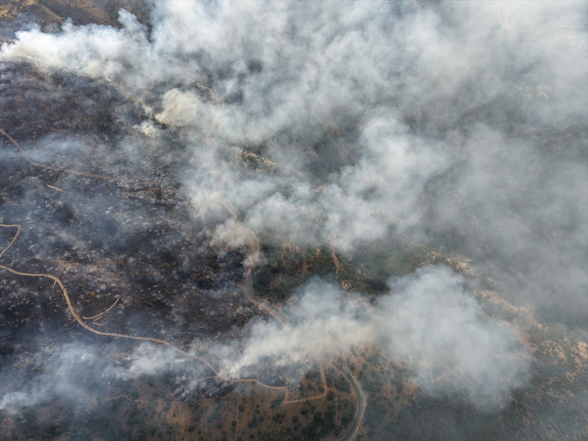 Malatya'nın Doğanyol ilçesinde çıkan orman yangınına havadan ve karadan müdahale ediliyor.