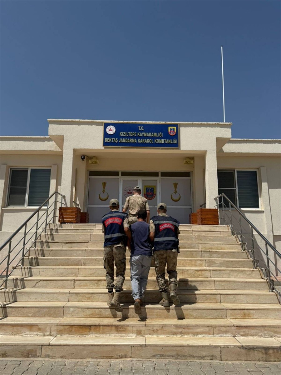 Mardin'in Kızıltepe ilçesinde sosyal medyada "hayvanların kısırlaştırılmasına" ilişkin uygunsuz...