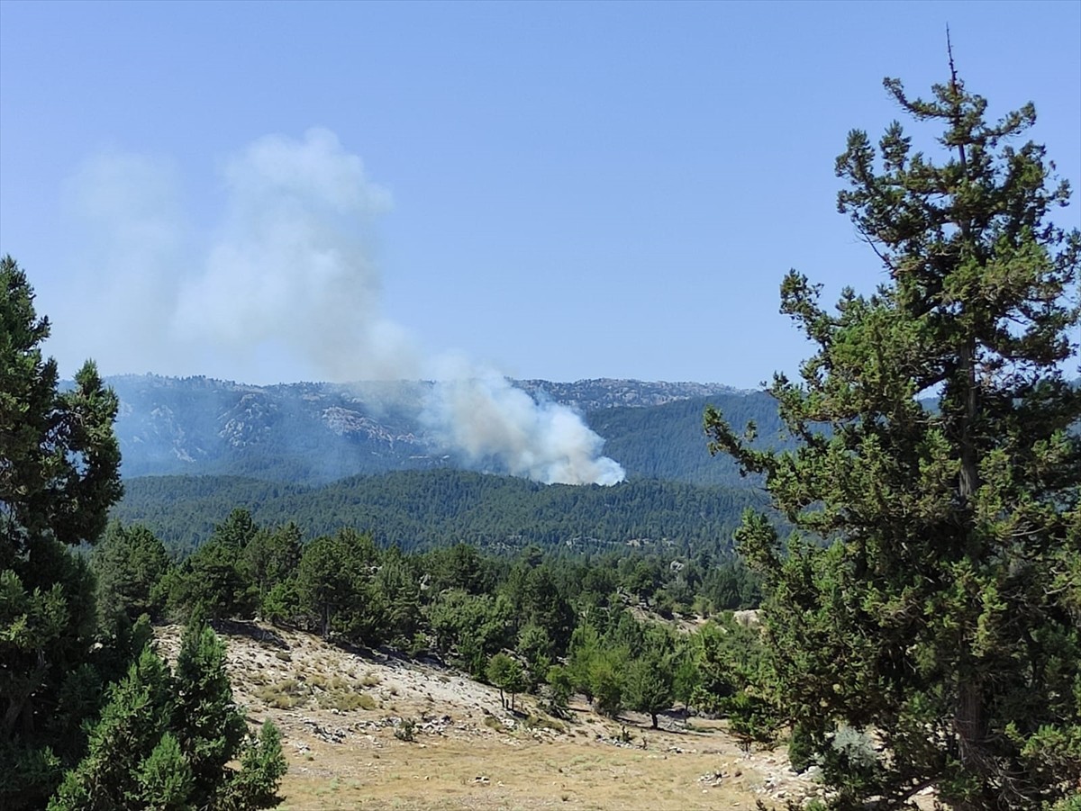 Mersin'in Bozyazı ilçesinde ormanlık alanda çıkan yangının kontrol altına alınması için havadan ve...