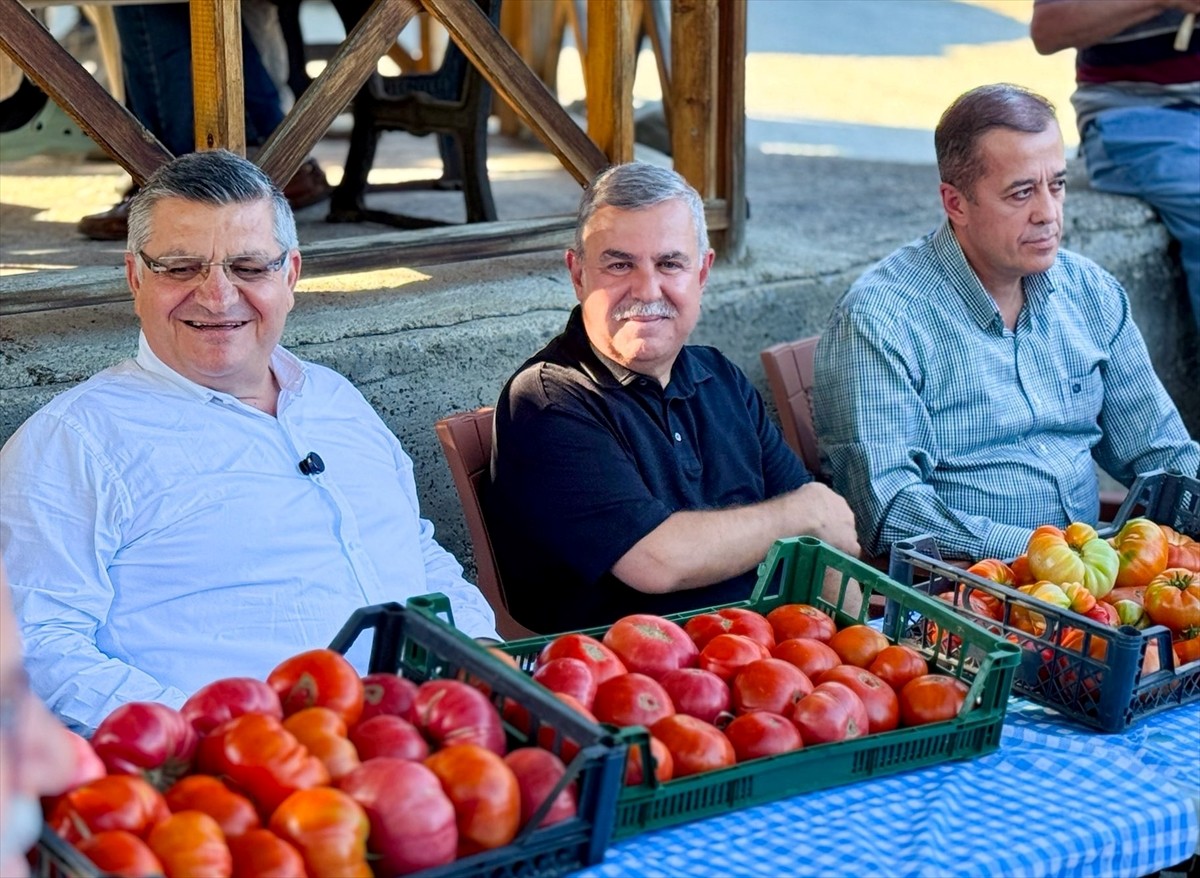 Sinop'un Boyabat ilçesi Gazideretabaklı köyünde yetiştirilen coğrafi işaretli Boyabat Gazidere...