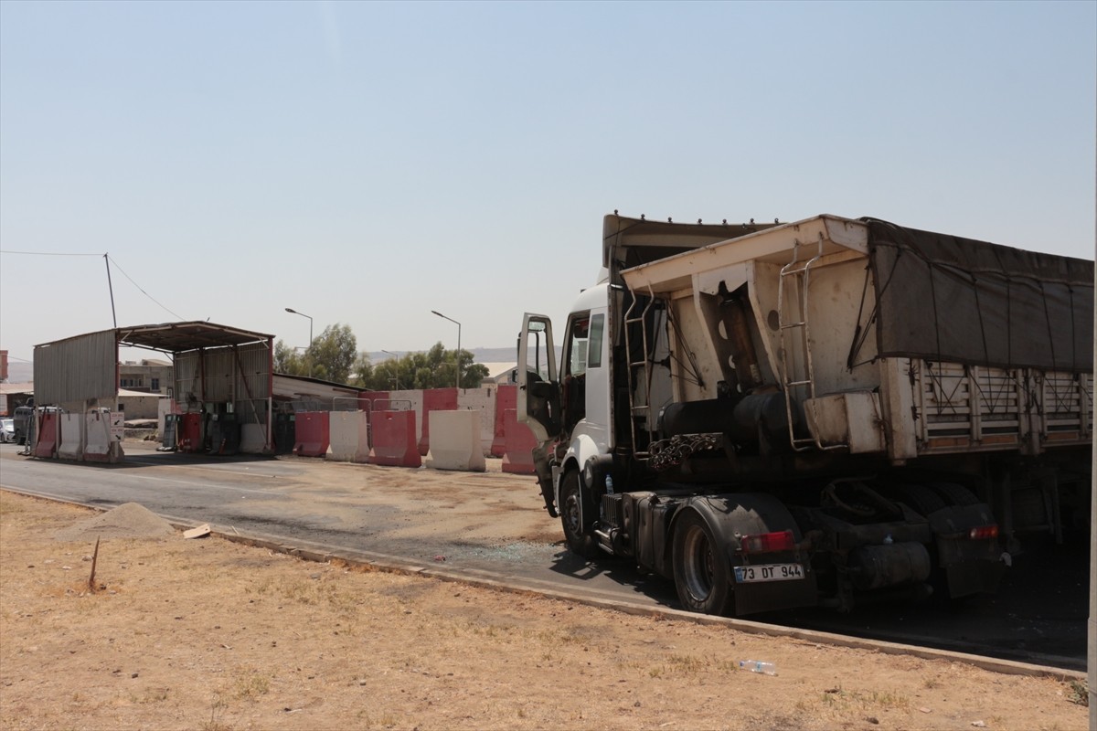 Şırnak'ın Cizre ilçesinde sürücüleri kardeş olan iki tırın çarpıştığı kazada, ağabey öldü, kardeşi...