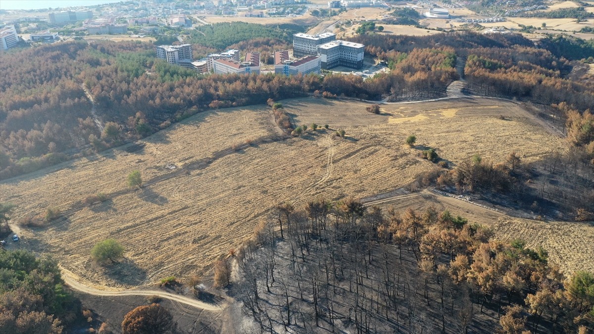 Sürülmüş ve anızı toprağa karıştırılmış alanlarda yangının yavaşladığı hatta tarlaya girmediği...