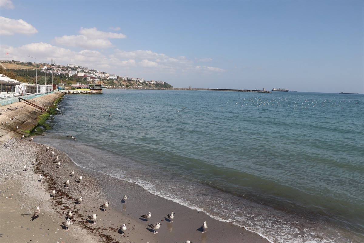 Tekirdağ'da 2 gündür süren poyrazın etkisini yitirmesiyle deniz ulaşımı normale döndü.