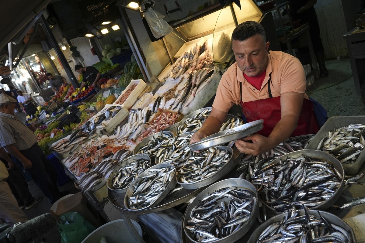 Av yasağının 1 Eylül'de sona ermesiyle "Vira bismillah" diyerek denize açılan Egeli balıkçılar...