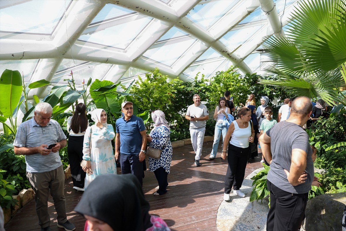 Konya'nın en çok ilgi gören mekanlarından Tropikal Kelebek Bahçesi'ni yaz döneminde 272 bin 491...