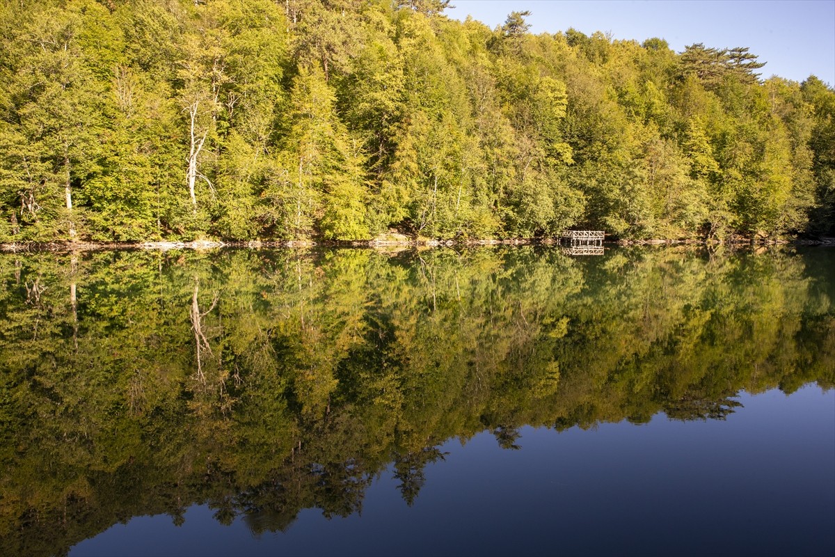 Sonbahar renklerine bürünen Bolu'daki Yedigöller Milli Parkı, ziyaretçilerine doğayla iç içe...