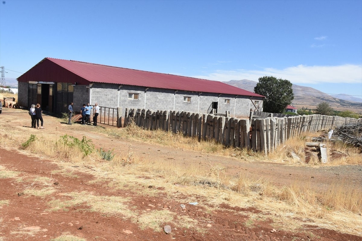 Tarım ve Orman Bakanlığınca başlatılan "Kırsalda Bereket, Hayvancılığa Destek Projesi" kapsamında...