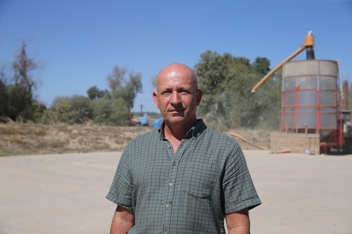 Türkiye'nin önemli ayçiçeği üretim merkezlerinden Edirne'de, kuraklık ve aşırı sıcaklar nedeniyle...