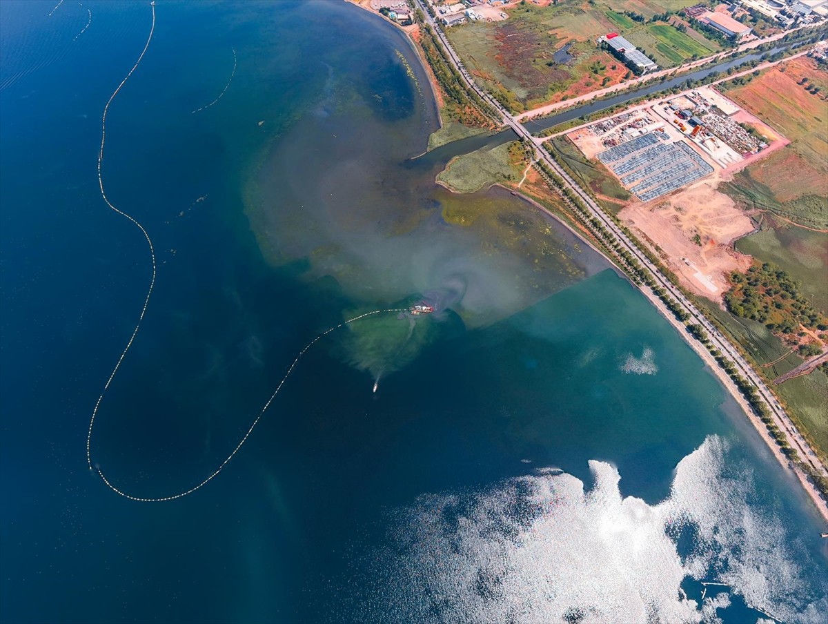 İzmit Körfezi'nde biyoçeşitliliğin korunması amacıyla başlatılan çalışma kapsamında şu ana kadar...