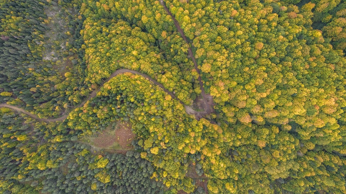 Kastamonu'da sonbaharın renkleri havadan görüntülendi. Karadeniz sahilindeki Abana, Bozkurt ve...