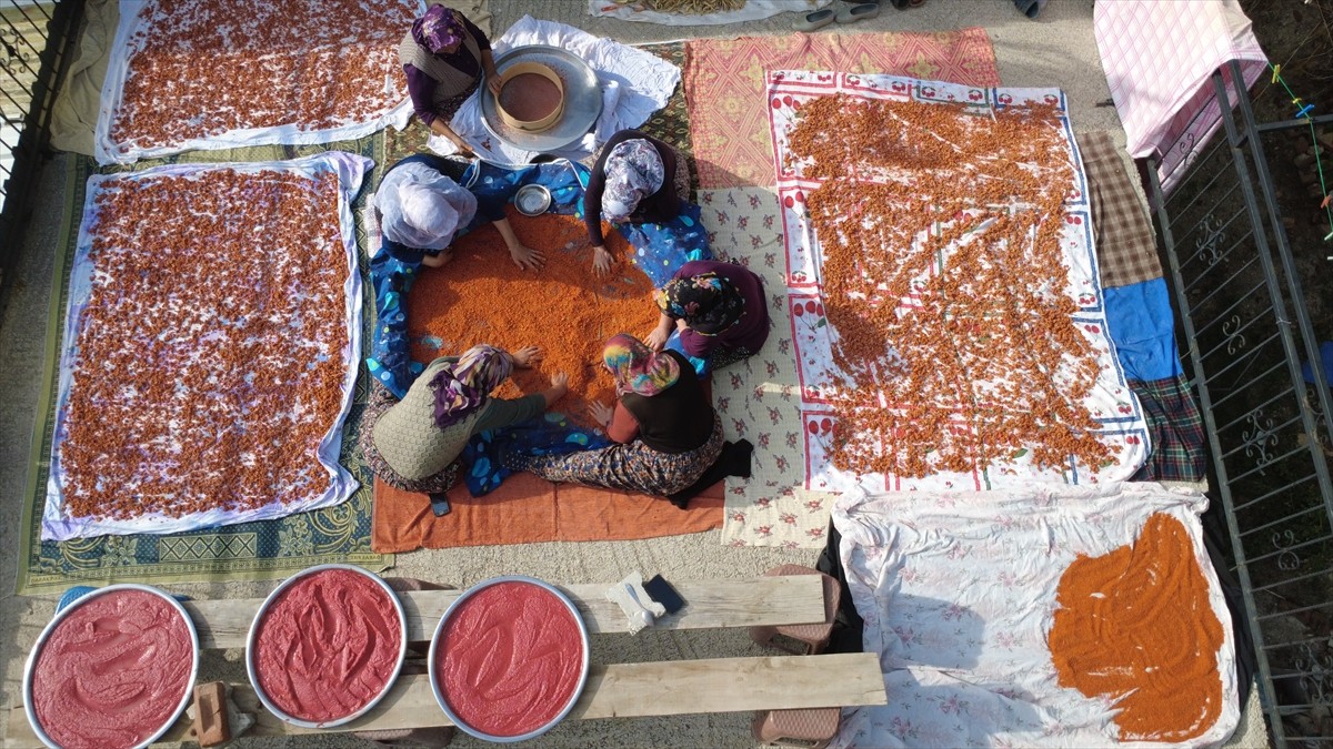 Manisa'nın Demirci ilçesinde, soğuk havalarda tüketilmek üzere, günler süren çalışmayla 16 çeşit...