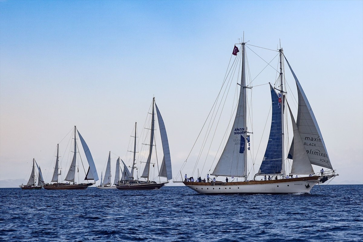 Muğla'nın Bodrum ilçesinde bu yıl 37'ncisi düzenlenen Maximiles Black The Bodrum Cup Yelken...