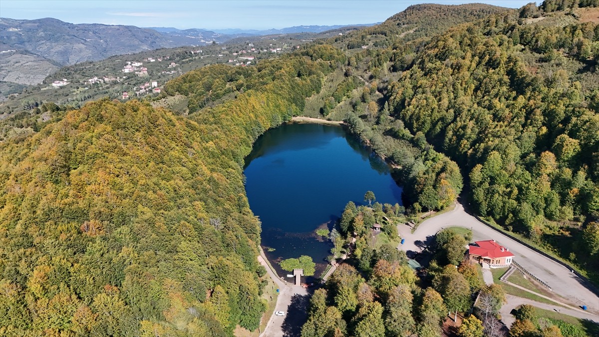 Ordu'nun Gölköy ilçesinde sonbahar renklerinin hakim olmaya başladığı Ulugöl Tabiat Parkı'nı, bu...