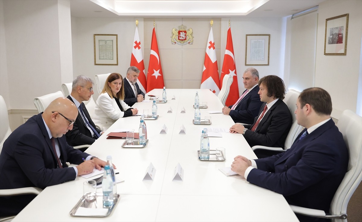 Sağlık Bakanı Kemal Memişoğlu Tiflis'teki resmi temasları kapsamında Gürcistan Başbakanı İrakli...