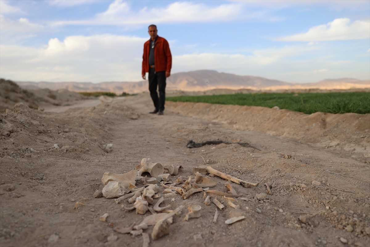 Suriye'nin başkenti Şam'ın Duma bölgesinde, 20 kişiye ait ceset kalıntılarının bulunduğu toplu...