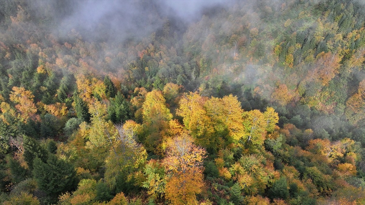 Türkiye'nin önemli tarihi ve turistik mekanlarına sahip olmasının yanı sıra doğal güzellikleriyle...
