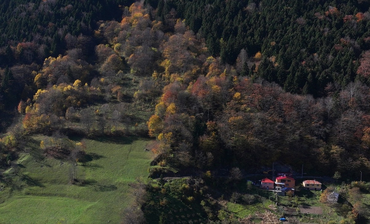 Trabzon'un Maçka ilçesine bağlı Zigana Dağı eteklerindeki Hamsiköy, sonbaharda doğanın en canlı...