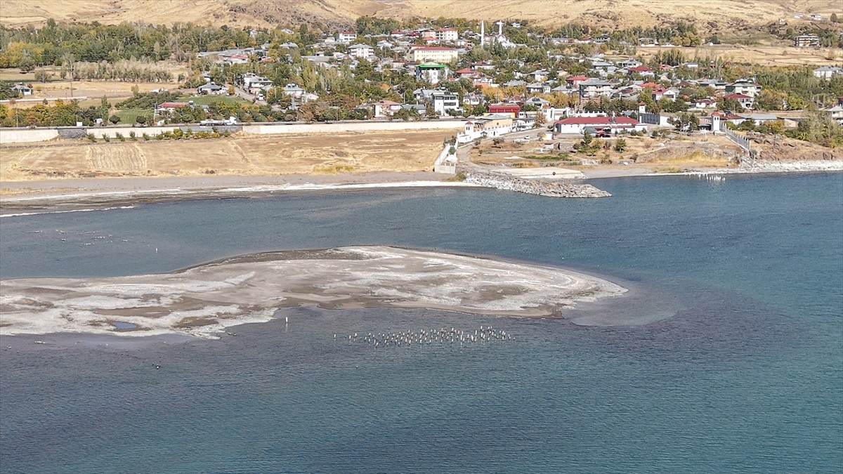 Van'ın Muradiye ilçesinde Van Gölü'nün seviyesinde yaşanan düşüş nedeniyle asırlık iskelenin...